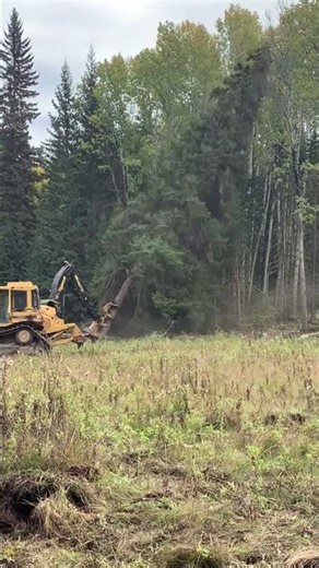 “Its Going Down I’m Yelling Timber” #song #logging #music #log #bclogging #farming #viralshorts