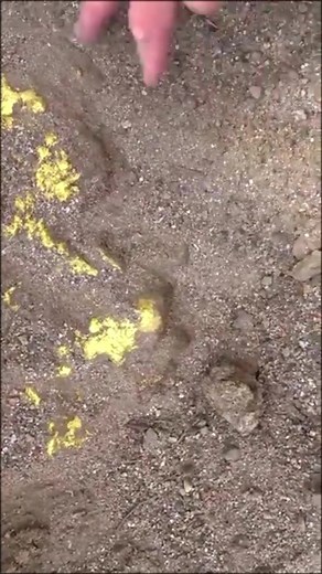 Vidéos de SoAm_pro (@soam__prod) avec son original - SoAm_pro