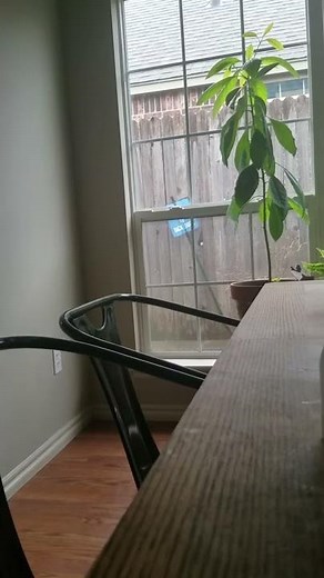 Tornado Siren Sound Effect