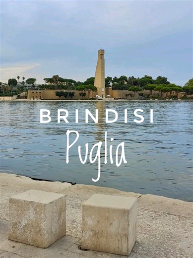📍Porto di Brindisi, Puglia Hai mai visto un tramonto così bello! Siamo in Puglia nel meraviglioso porto di Brindisi, uno dei porti turistici più belli d'Italia! 🔹Se ami viaggiare seguimi per altri fantastici video! 🔸Lascia un like e commenta se ci sei stato! #brindisi #brindisicittà #puglia #amolapuglia #tramontisulmare