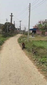 3.60 Lakh Dhur| Biratnager Best Location | Beautiful Land for sale in Biratnager city 9861770176