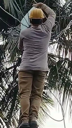 LT distribution box connection problem solution#electricalwork #electricalindia #######