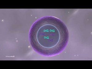 Cell Biology and Genetics – Made Easy Through Animation