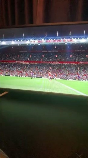 How to put controller icon on screen - Fifa 22 (Input overlay)