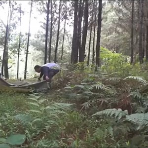 203K views · 2.4K reactions | Camping in deep forest | Camping Vibes | Facebook