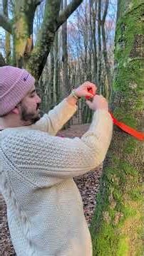 Beginners guide to bushcraft and survival in the wilderness