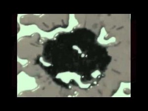 Logo Mania Normal 42