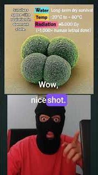 The Toughest Creatures You’ve Never Seen. #fact #shorts #knowledge