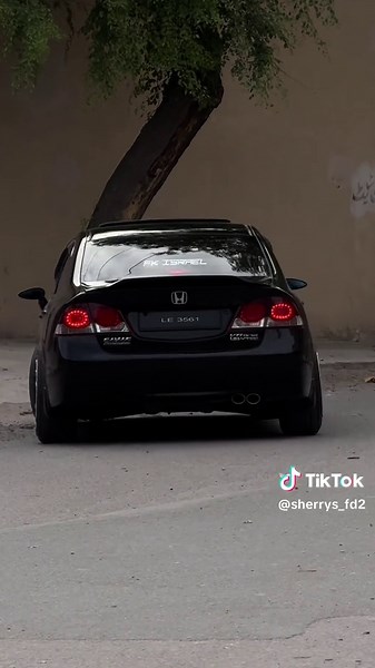 Exploring the Concept of Rebirth in Static Art