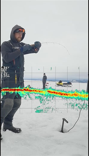 Largemouth Perch?! This Jumbo INHALED It #icefishing