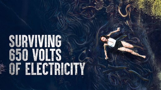 Electric eel attack survival tips