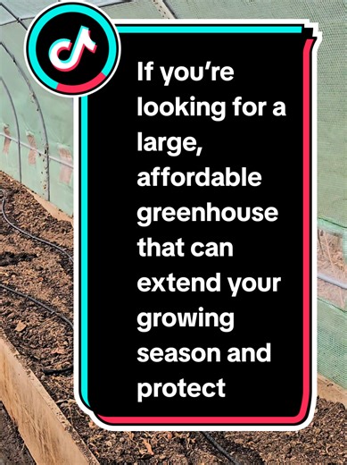 If you’re looking for a large, affordable greenhouse that can extend your growing season and protect your plants, the VEVOR Walk-in Tunnel Greenhouse is a solid option for backyard gardeners, homesteaders, and small-scale growers. With its spacious 20 x 10 x 7 ft design, it provides plenty of room for raised beds, shelving, seed trays, and even room to walk through comfortably while working. The galvanized steel hoop frame gives the structure good stability, while the reinforced top beams and di