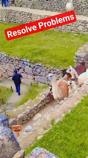 “Log Problems Ko Kaise Handle Karte Hai? Reality Check 💯”#shortvideo #trending