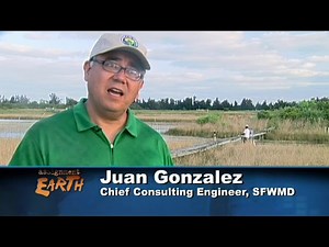 Florida Everglades: Restoring the Wetlands