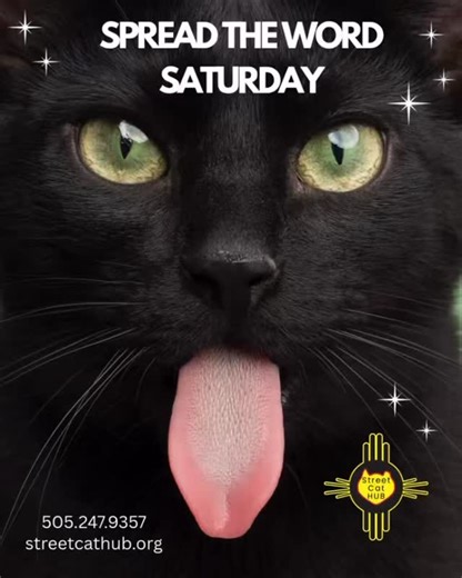 Why TNR (Trap-Neuter-Return)? TNR is the most effective and humane way to manage community cat populations. By fixing free-roaming cats: Stop the Cycle: Prevents the birth of thousands of kittens into hardship. Improve Health: Fixed cats are less likely to fight, roam, or spray, and they receive essential vaccinations like Rabies and FVRCP during the process. Stabilize Neighborhoods: A fixed colony stays healthy and stops growing, reducing the “vacuum effect” where new, unfixed cats move in. How