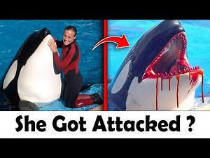 Whale Attacks Orca Trainer Jessica Radcliffe | Shocking Accident Caught on Camera
