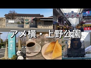 『 上野 散策 / Walk around Ueno 』アメ横・上野公園 散策x食べ歩き