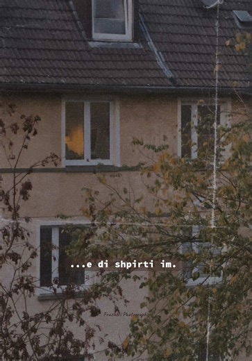 Exploring Autumn Memories Through Photography