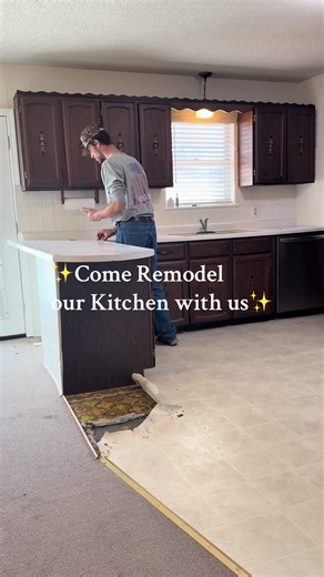 Kitchen Remodel Journey: Demo Day Excitement
