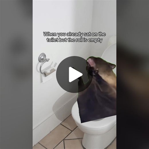 Now I’m in a pickle🥲 #screamingcat #meme #screamingcatmeme #toiletpaper #bathroomproblems