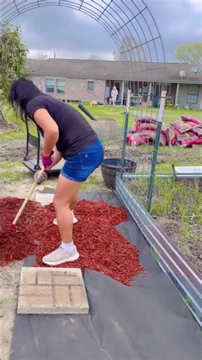 Gardening Tips: Applying Mulch to Garden Pathways to Inhibit Grass Growth