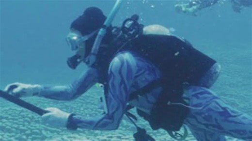 Australia: world's largest coral colony