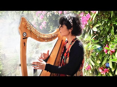 Harpe relaxante et féerique, musique zen, douce, chant d'oiseaux, source, nature, relaxation, paix