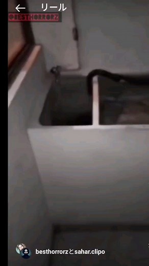 バズ凛ちゃん【面白い動画まとめ】 | @ruru.tyandayoのストーリー見ちゃダメ 元動画tiktok ID→mumeinosisaia バズ放送局【面白い動画まとめ】 ▽クスッと笑えるネタ🤭 ▽笑えるリールから人生を豊かに ▽削除依頼､案件はDMまで!!... | Instagram