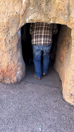 Turtle vs Tortoise: The Fun Debate with My Husband