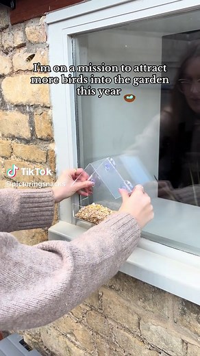 Enhance Your Bird Feeding Experience This Year