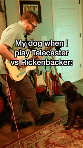 My dog’s face when I play Telecaster vs Rickenbacker guitar 🎸 🐕