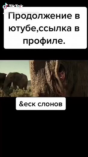 crazy russian experiments (@russian_experiments)’s videos with оригинальный звук - crazy russian experiments