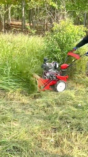 cutting the tall green wild grass using a red lawn mower machine in the middle of a forest field