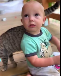 176K views · 10K reactions | There he is! Breck jumps from the top rope, tries on some new glasses…AND has a dream about his trip to town at the END! 殺 | Plant Based Gabriel | Facebook