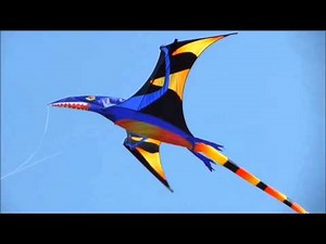 Black Wing Pterodactyl Kite