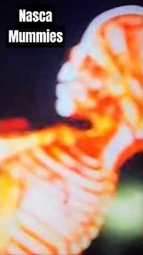 Jesse Michels - Peru's Nazca Mummies Are Evidence Of Aliens?
