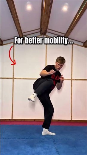 High Kick Tutorial: Best Drills for Flexibility, Mobility & Power 🥋🔥