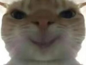 第一条正式视频，请大家多发点评论，好让作者看到你。