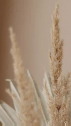 Heartfelt Condolences and Comforting Messages Writing Service