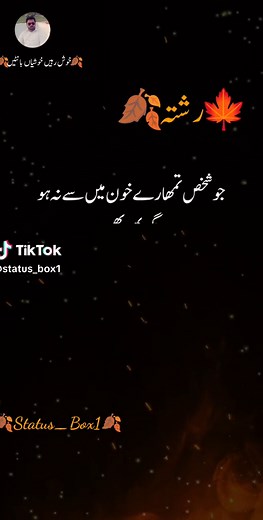 Status Box1 on TikTok