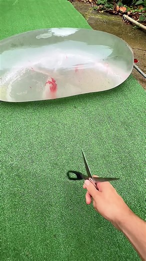 Inflating Fish Toys. 💥💦 #asmrsounds | ASMR