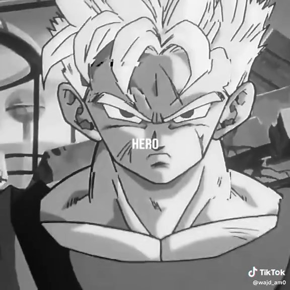 Dragon Ball Z: A Hero's Journey Through Goku and Vegeta