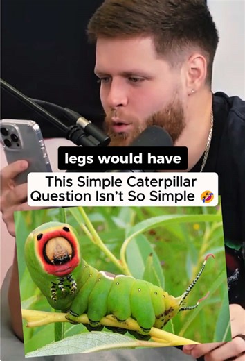 Caterpillar Math Puzzle: Understanding Eyes and Legs