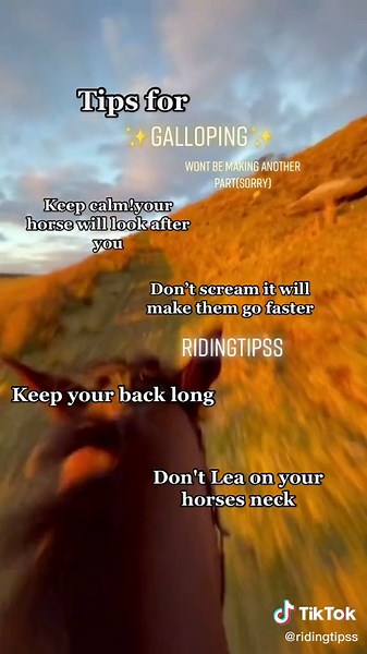 Mastering Galloping: Essential Tips for Horse Riders