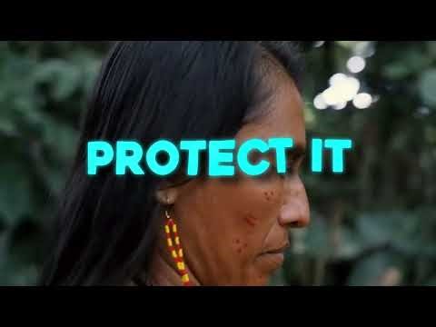 He bought Amazon Rainforest to protect it !