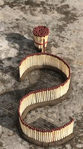 Very Easy Made Soft boiled eggs #experiment video