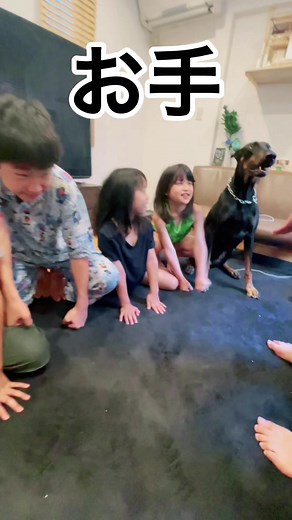 子供たちに協力してもらい、ドーベルマンに服従訓練とコマンドの教え方！？#動物コレクション#ドーベルマン#家族#うちの子が可愛すぎる