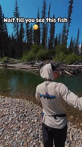 257K views · 4K reactions | 路‍♂️Was not expecting that fish 路‍♂️路‍♂️ • @okflyfishing_ Working Out The 8wt••••••#okanaganflyfishing #flyfishing #bulltrout #char #charaholics #backcountryskinz #fishpond #looptackle #simmsflyfishing #patagoniaflyfishing #fishlocal #lamsonwaterworks #catchandrelease #keepemwet #flyfishingcanada #goexplore #explorecanada #troutbum #hikingculture #fishitwell #flyfishingaddict | Fly life media | Facebook