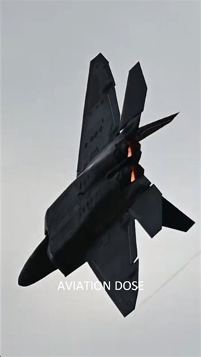 🦅 F-22 Raptor Defends the Skies! 🇺🇸 NORAD Mission in Action!