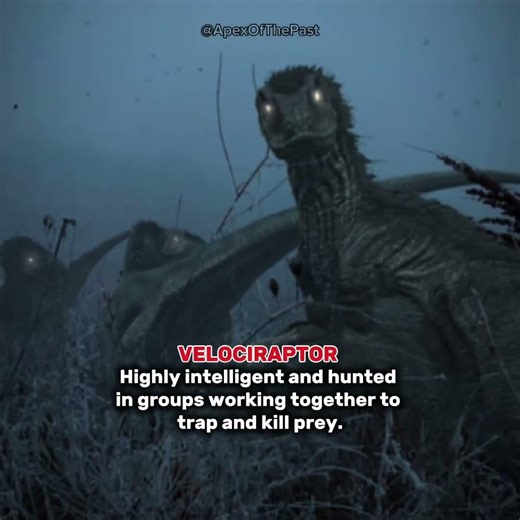 Creepy dinosaur truths you were never supposed to know! #extinct #prehistoric #predators
